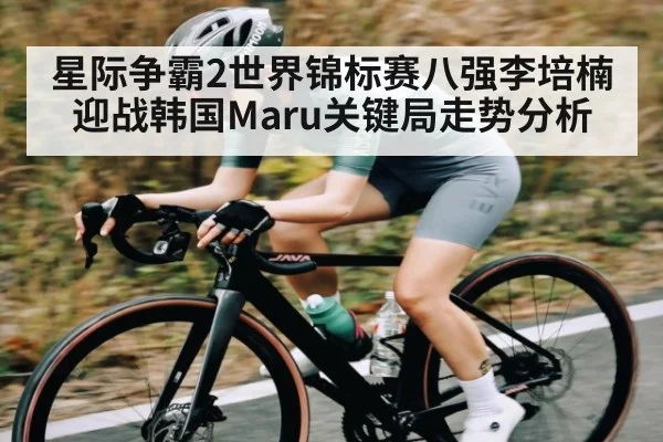 星际争霸2世界锦标赛八强李培楠迎战韩国Maru关键局走势分析
